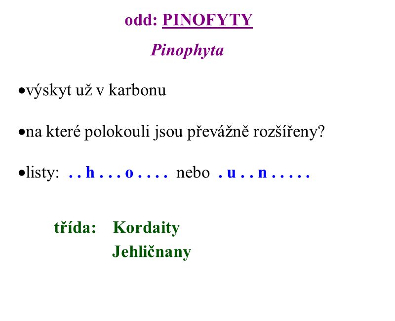 odd: PINOFYTY Pinophyta. výskyt už v karbonu. na které polokouli jsou převážně rozšířeny listy: . . h o nebo . u . . n