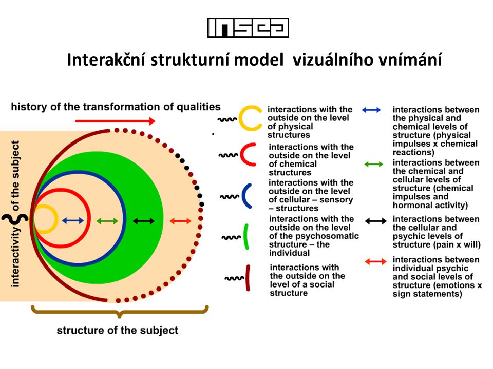 Interakční strukturní model vizuálního vnímání