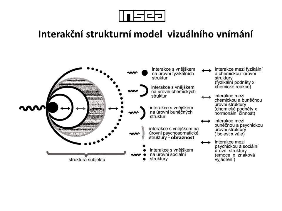 Interakční strukturní model vizuálního vnímání