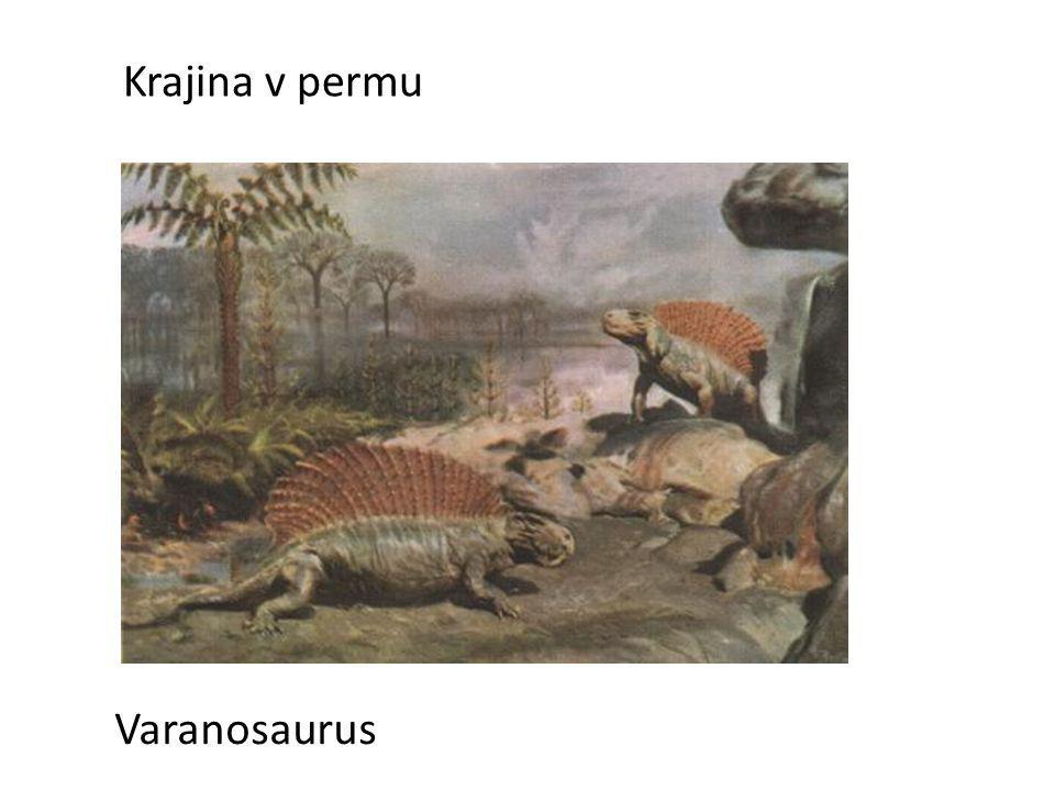 Krajina v permu Varanosaurus