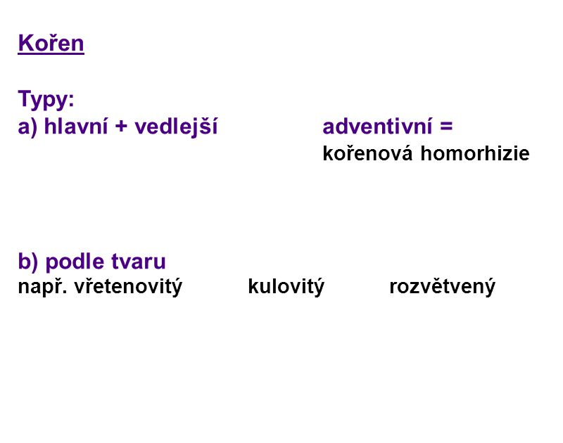 Kořen Typy: a) hlavní + vedlejší adventivní = kořenová homorhizie