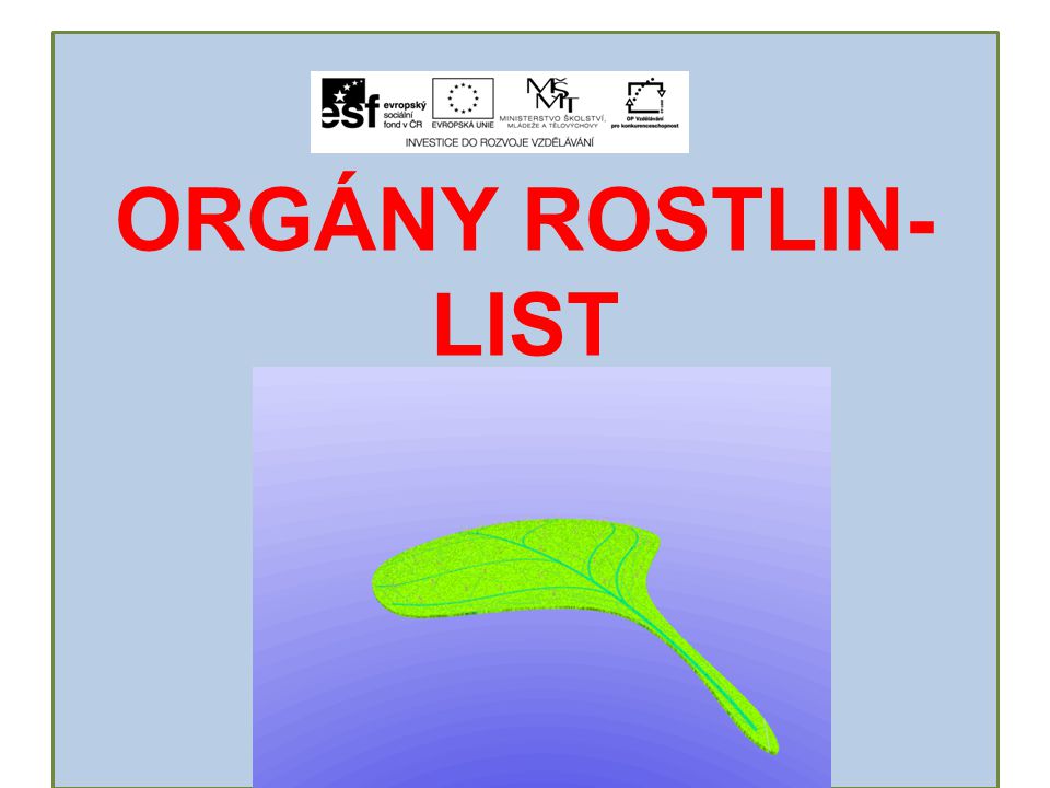 ORGÁNY ROSTLIN-LIST