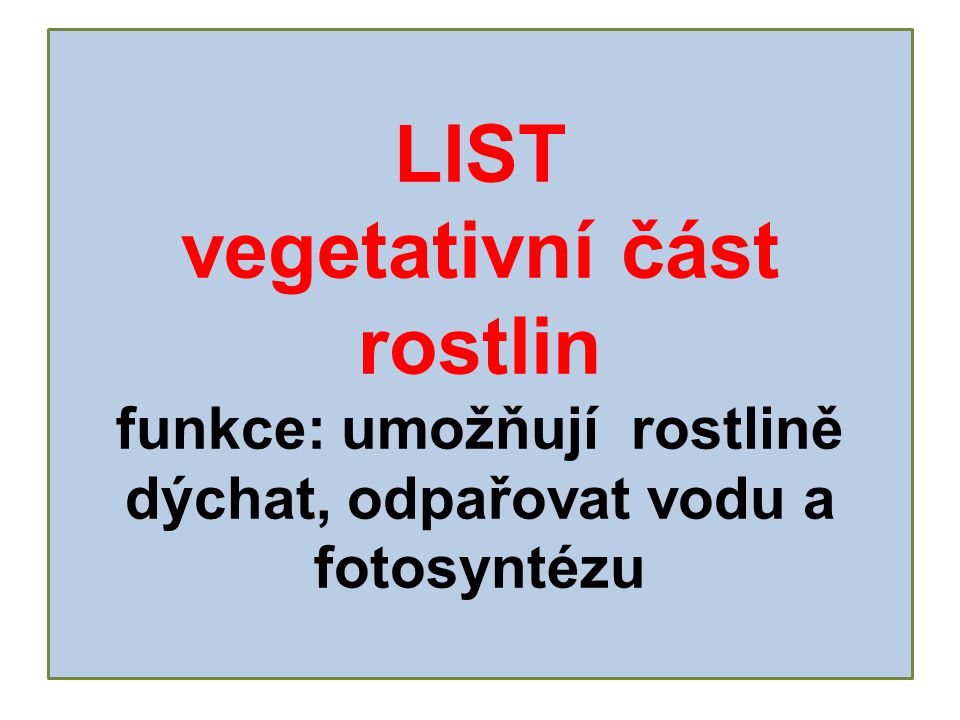 LIST vegetativní část rostlin funkce: umožňují rostlině dýchat, odpařovat vodu a fotosyntézu