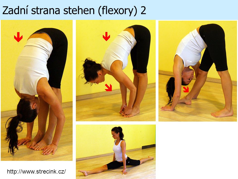 Zadní strana stehen (flexory) 2
