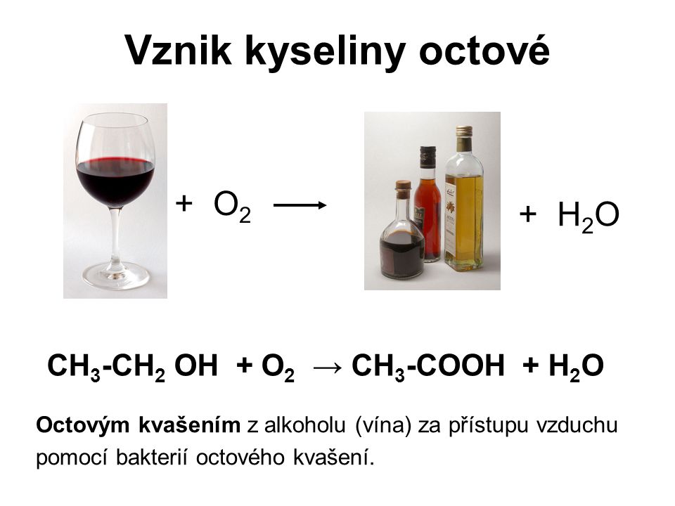 Vznik kyseliny octové + O2 + H2O CH3-CH2 OH + O2 → CH3-COOH + H2O