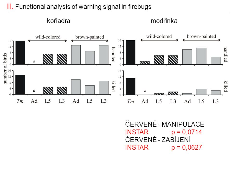 II. Functional analysis of warning signal in firebugs