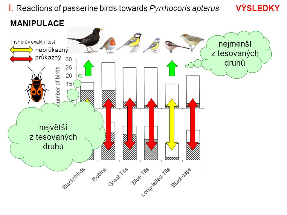 I. Reactions of passerine birds towards Pyrrhocoris apterus VÝSLEDKY