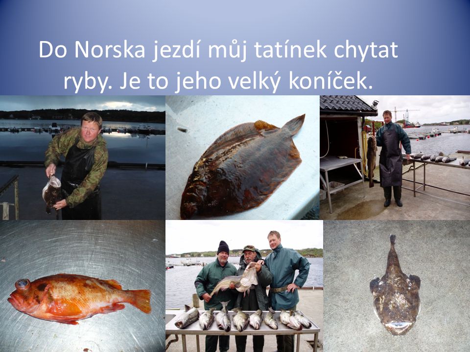 Do Norska jezdí můj tatínek chytat ryby. Je to jeho velký koníček.