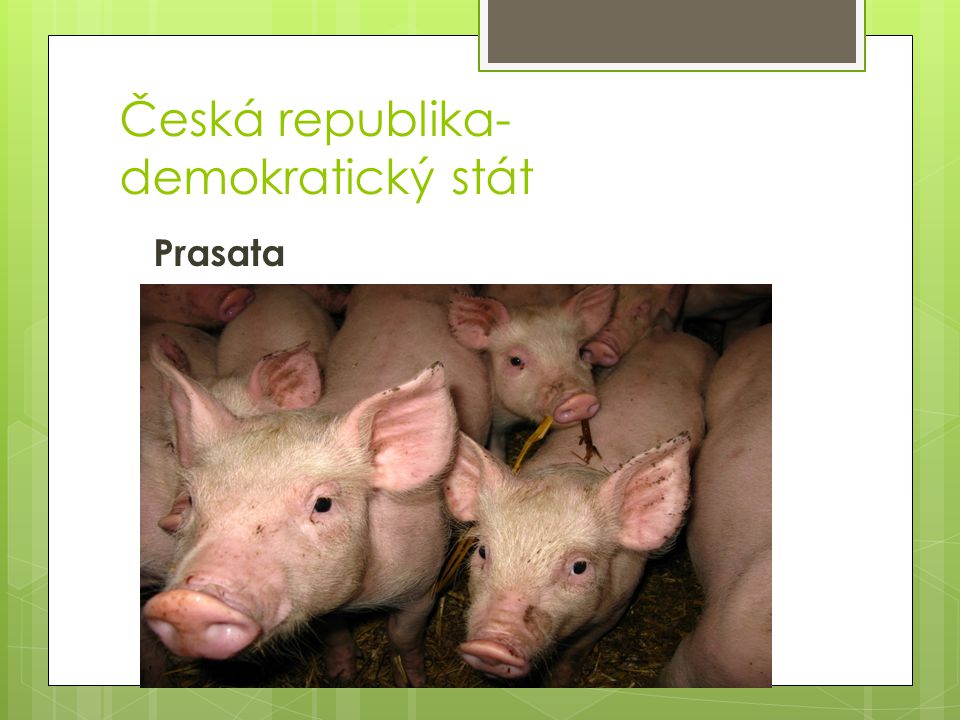 Česká republika- demokratický stát