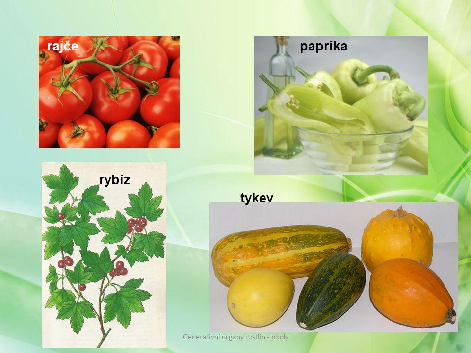 Generativní orgány rostlin - plody