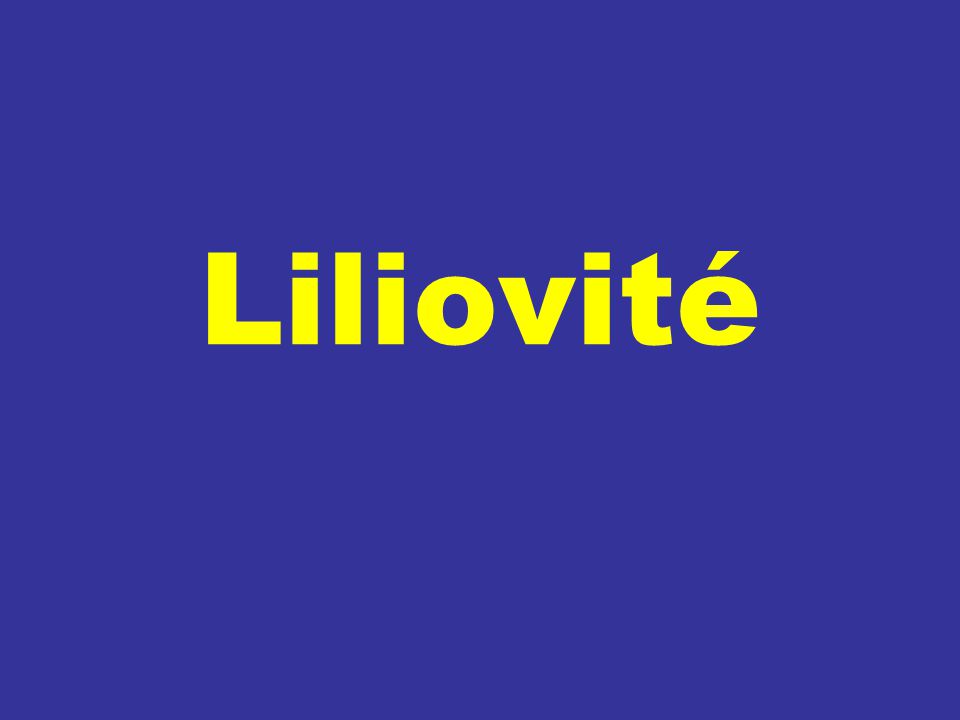 Liliovité