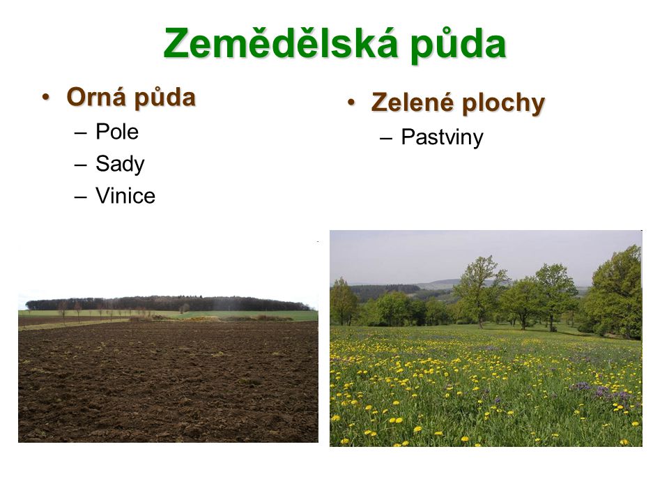 Zemědělská půda Orná půda Pole Sady Vinice Zelené plochy Pastviny
