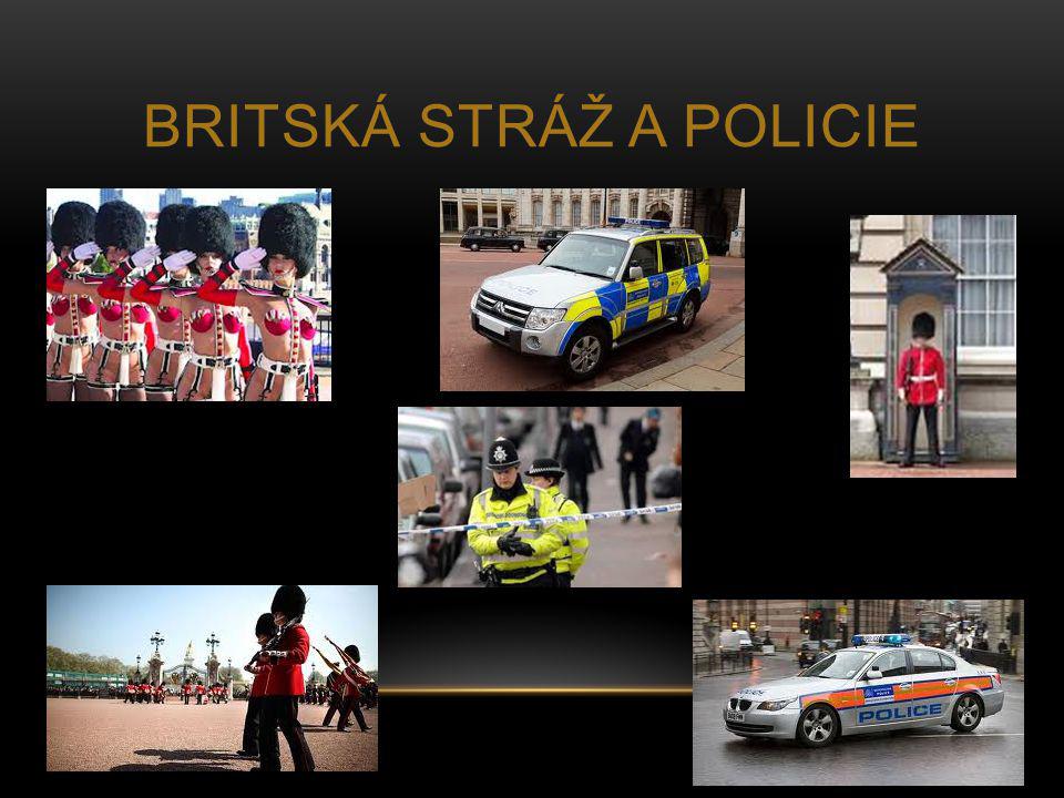 Britská stráž a policie