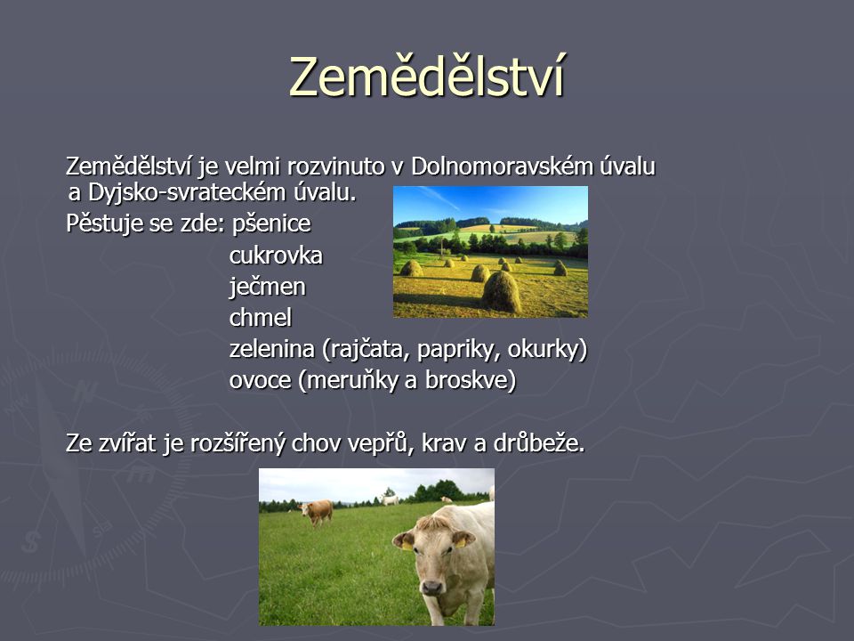 Zemědělství Zemědělství je velmi rozvinuto v Dolnomoravském úvalu a Dyjsko-svrateckém úvalu. Pěstuje se zde: pšenice.