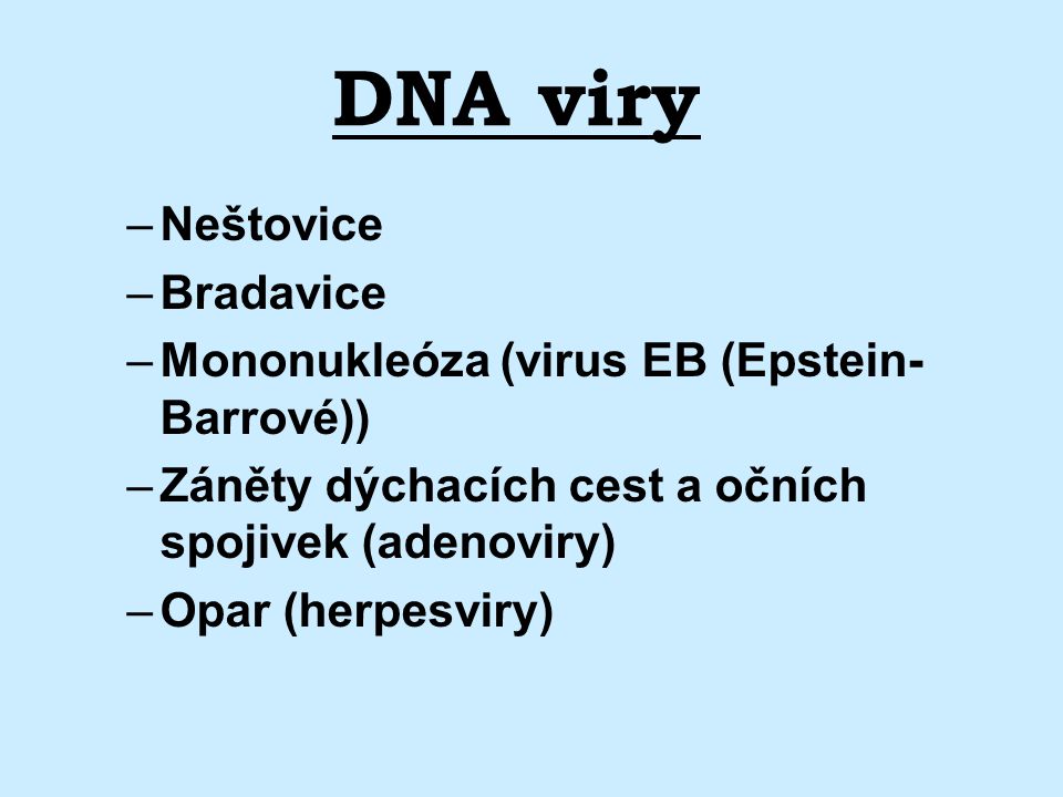 DNA viry Neštovice Bradavice