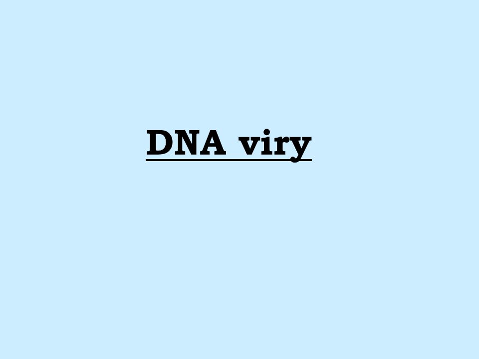 DNA viry