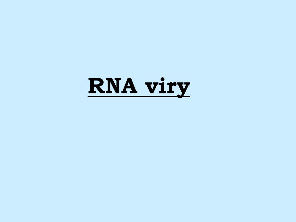 RNA viry