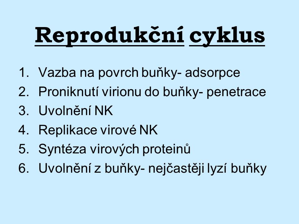 Reprodukční cyklus Vazba na povrch buňky- adsorpce