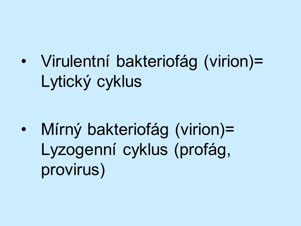 Virulentní bakteriofág (virion)= Lytický cyklus