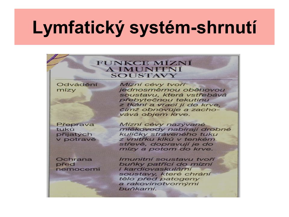 Lymfatický systém-shrnutí