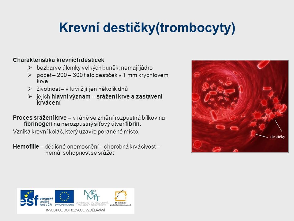 Krevní destičky(trombocyty)