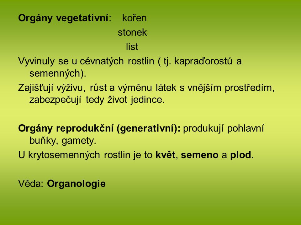 Orgány vegetativní: kořen