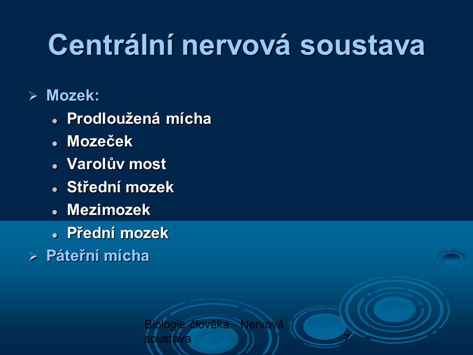 Centrální nervová soustava
