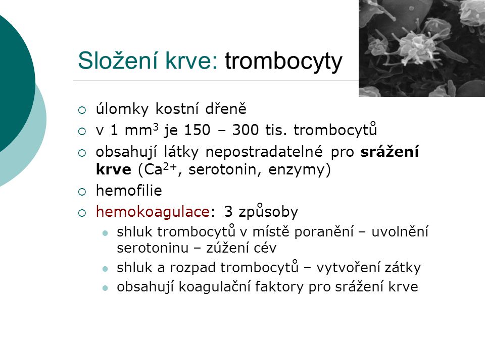 Složení krve: trombocyty