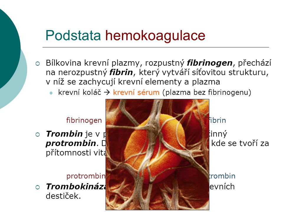Podstata hemokoagulace