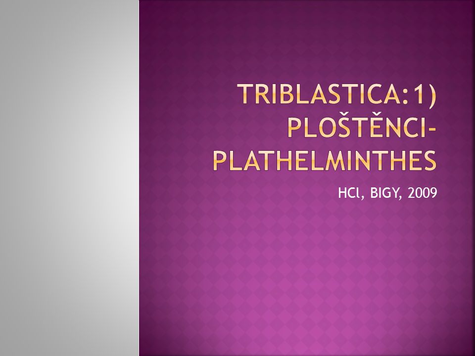Triblastica:1) Ploštěnci- Plathelminthes