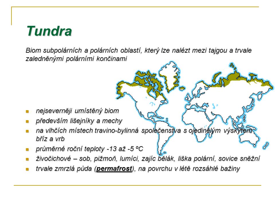 Tundra Biom subpolárních a polárních oblastí, který lze nalézt mezi tajgou a trvale zaledněnými polárními končinami.