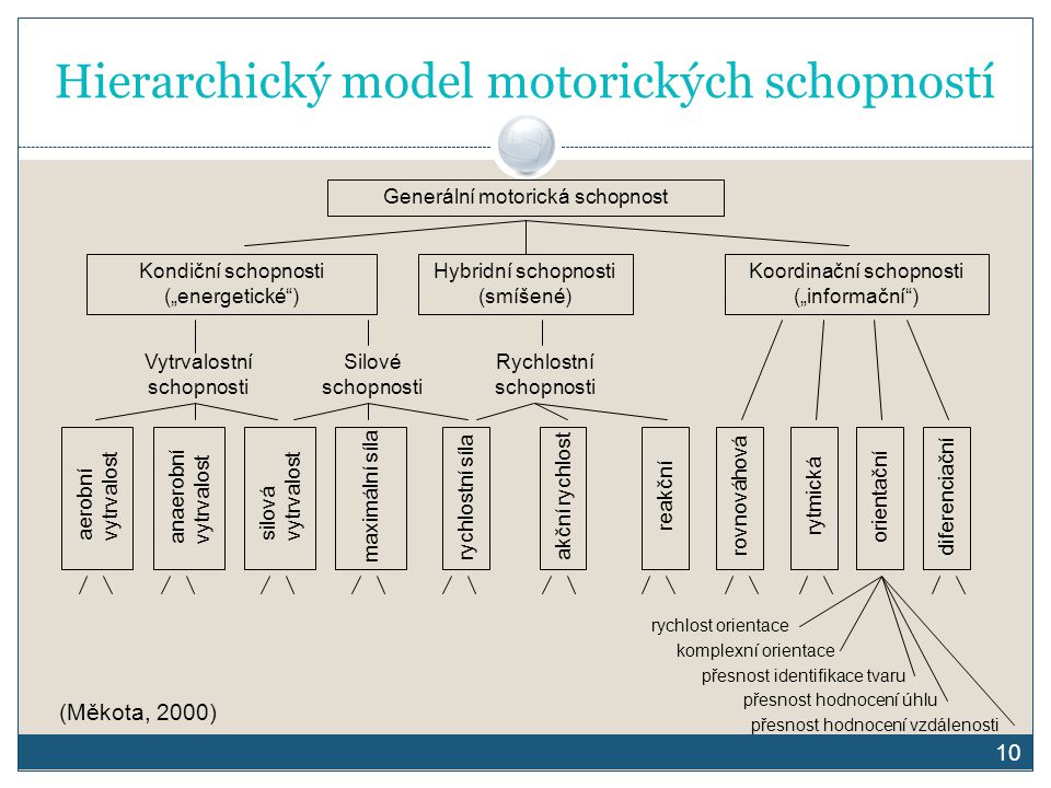 Hierarchický model motorických schopností