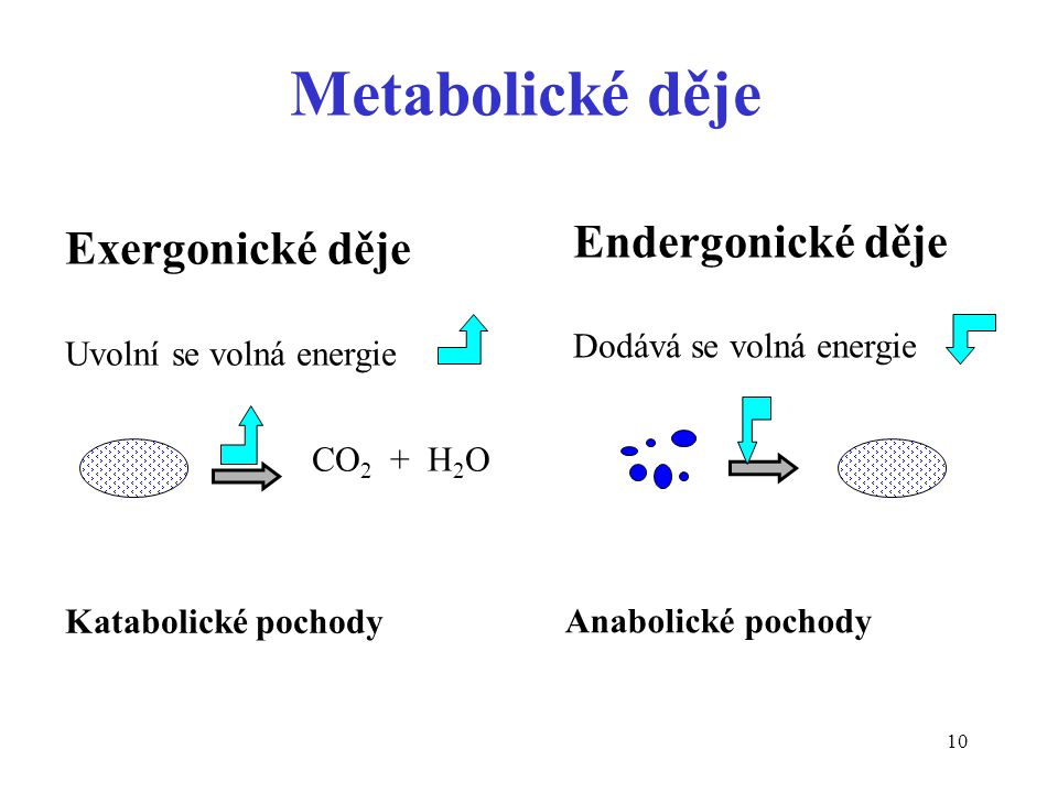 Metabolické děje Endergonické děje Exergonické děje