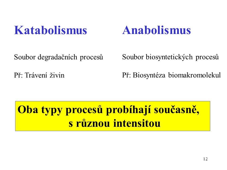 Katabolismus Anabolismus Oba typy procesů probíhají současně,