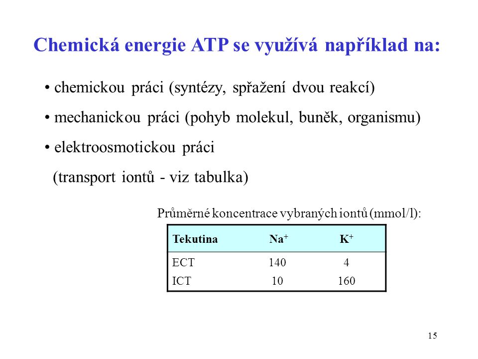 Chemická energie ATP se využívá například na: