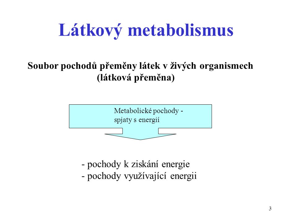 Látkový metabolismus Soubor pochodů přeměny látek v živých organismech (látková přeměna)