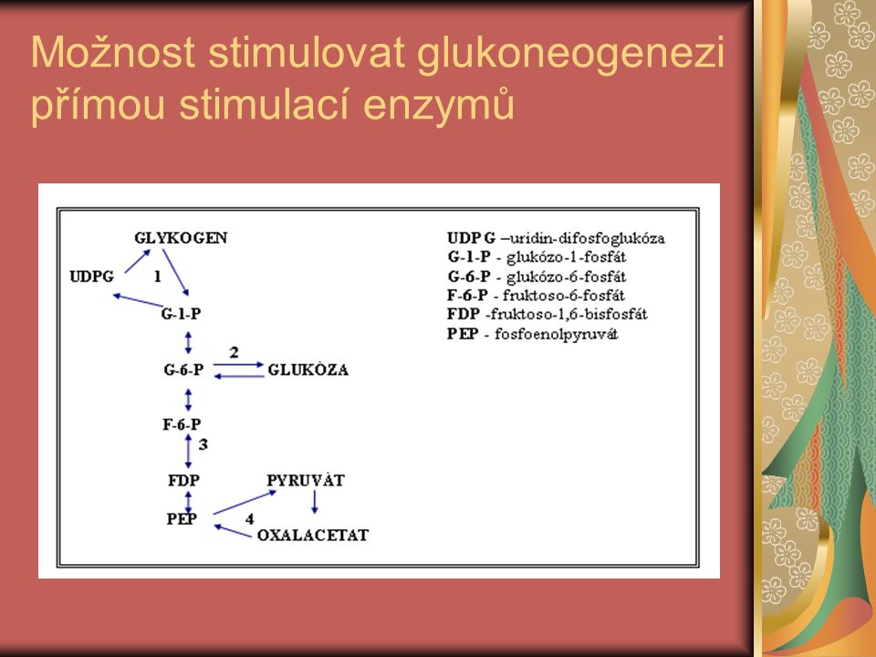 Možnost stimulovat glukoneogenezi přímou stimulací enzymů