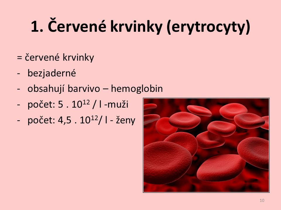 1. Červené krvinky (erytrocyty)