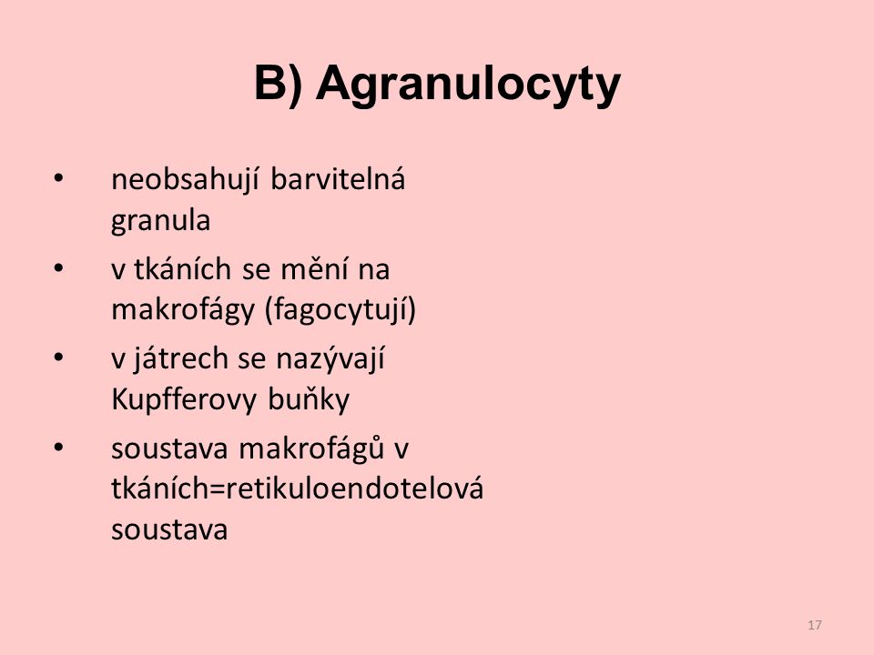 B) Agranulocyty neobsahují barvitelná granula