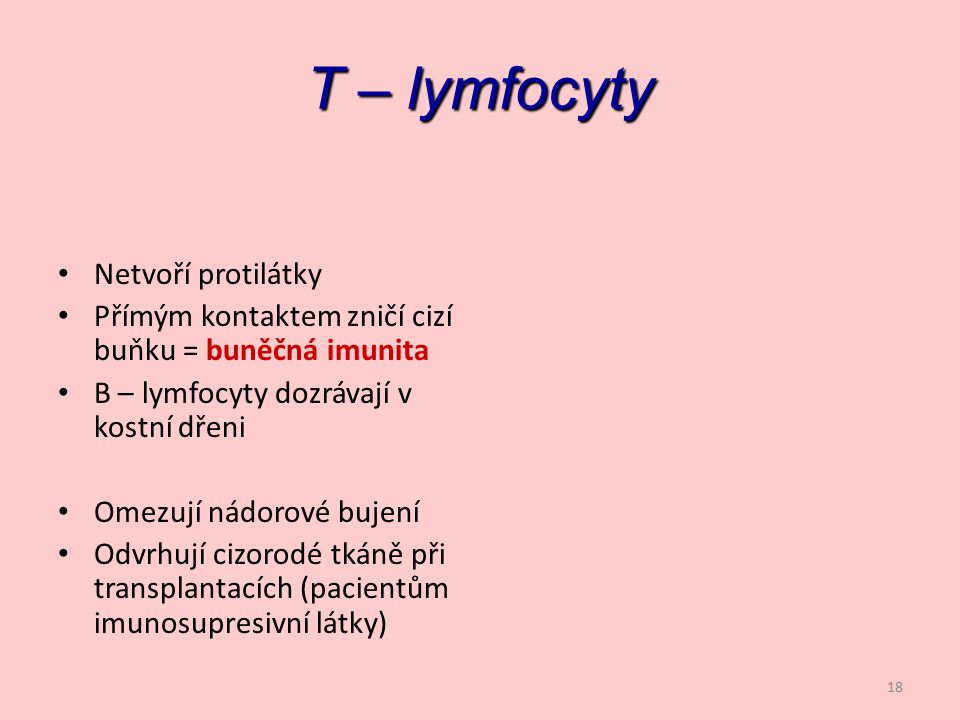 T – lymfocyty Netvoří protilátky