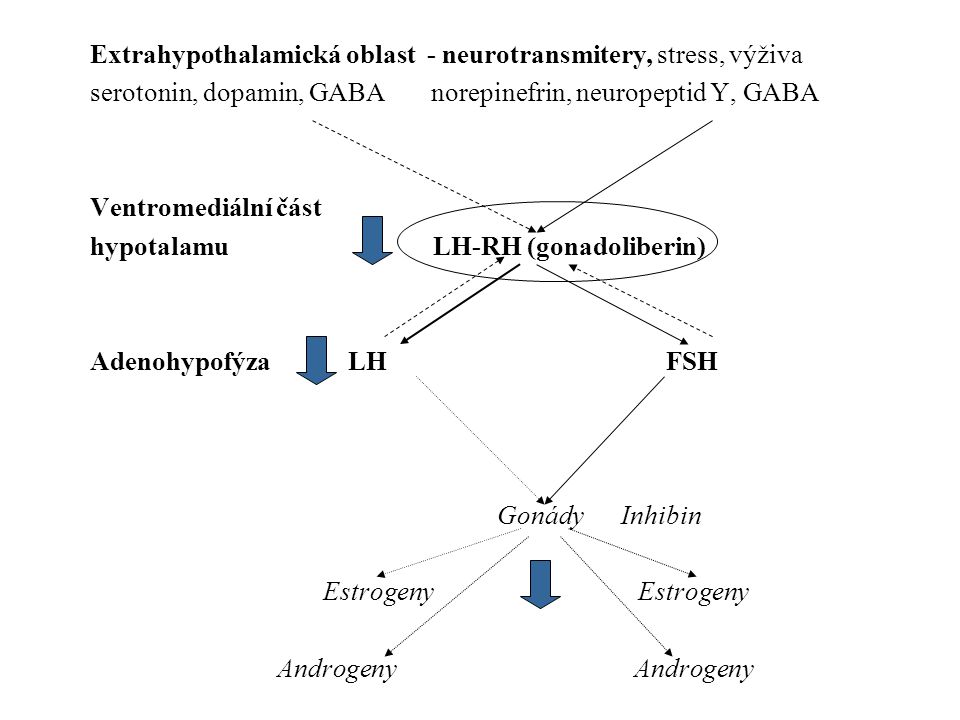 Extrahypothalamická oblast - neurotransmitery, stress, výživa