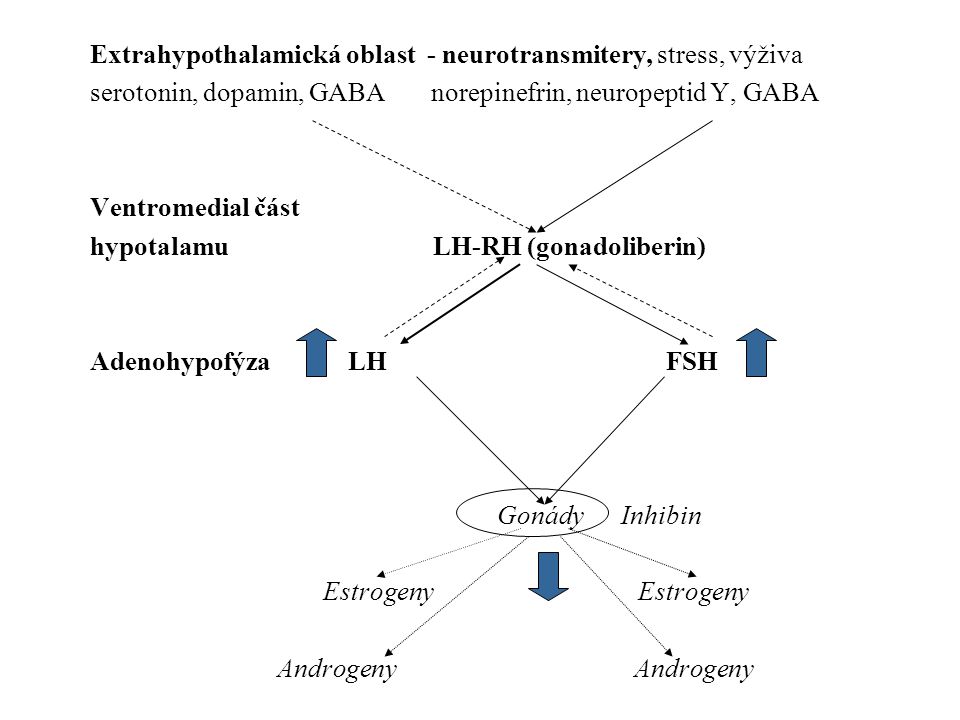 Extrahypothalamická oblast - neurotransmitery, stress, výživa