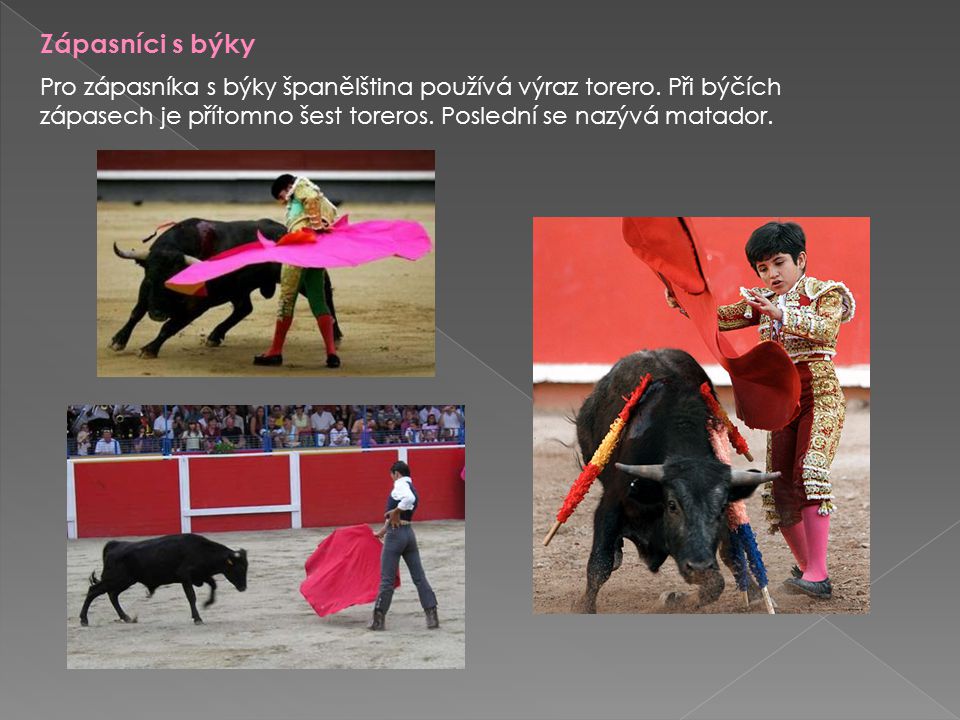 Zápasníci s býky Pro zápasníka s býky španělština používá výraz torero.