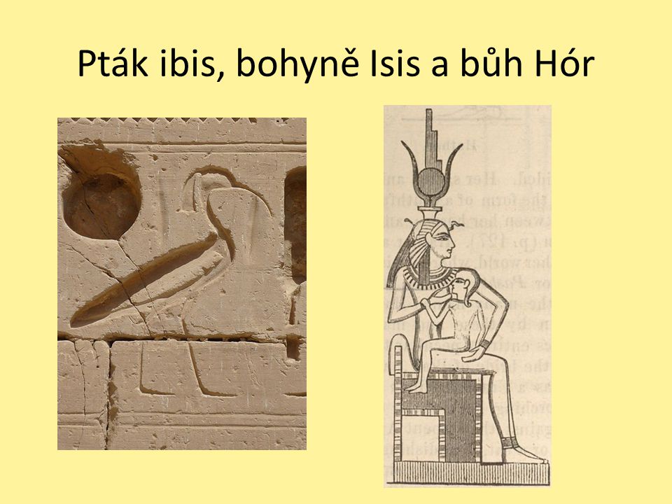 Pták ibis, bohyně Isis a bůh Hór
