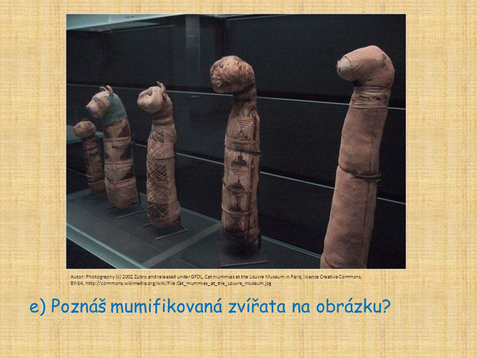 e) Poznáš mumifikovaná zvířata na obrázku