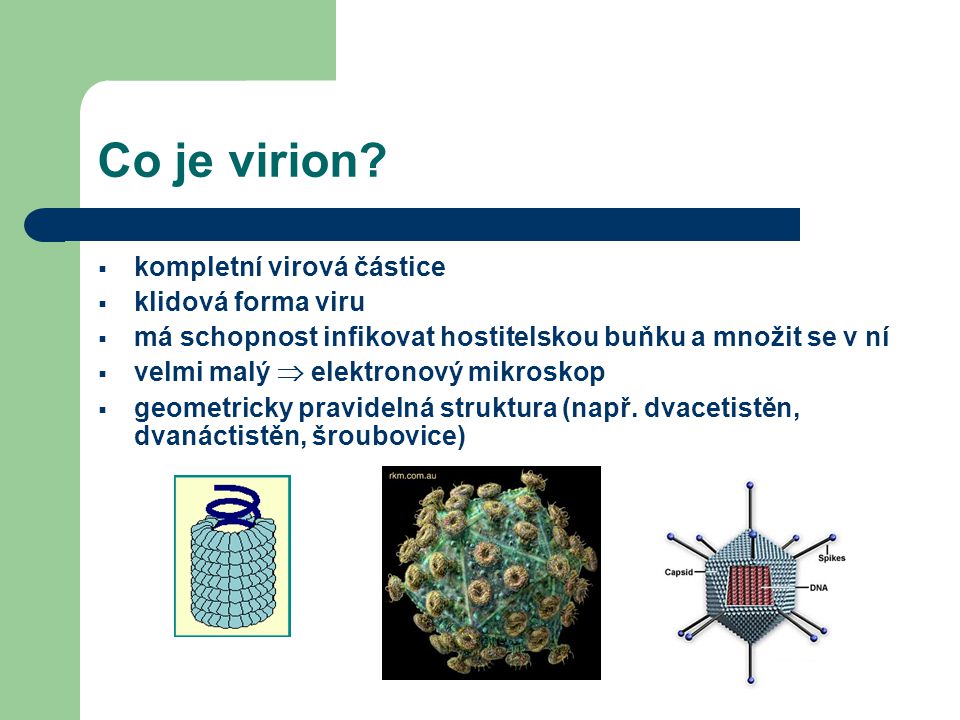 Co je virion kompletní virová částice klidová forma viru