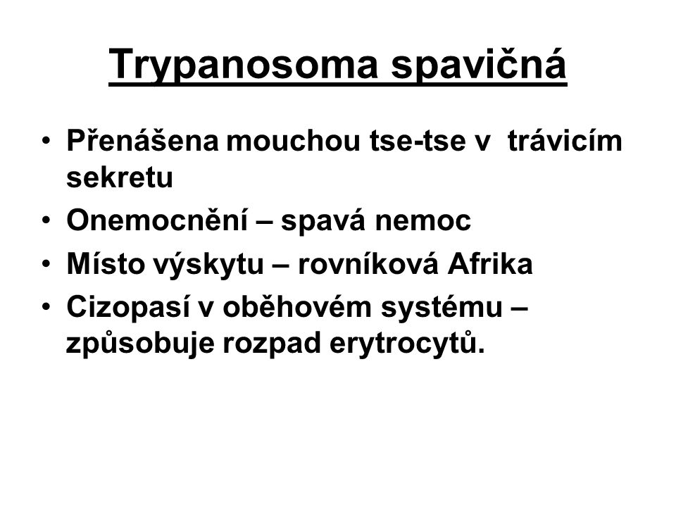 Trypanosoma spavičná Přenášena mouchou tse-tse v trávicím sekretu