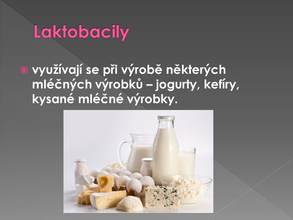 Laktobacily využívají se při výrobě některých mléčných výrobků – jogurty, kefíry, kysané mléčné výrobky.