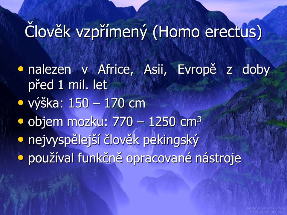 Člověk vzpřímený (Homo erectus)