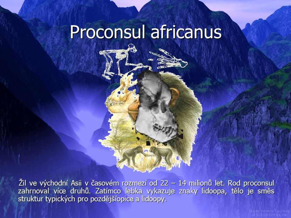 Proconsul africanus
